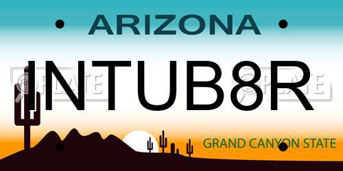 INTUB8R Arizona License Plate