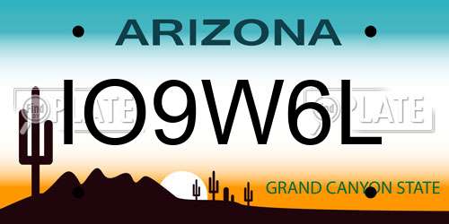 IO9W6L Arizona License Plate