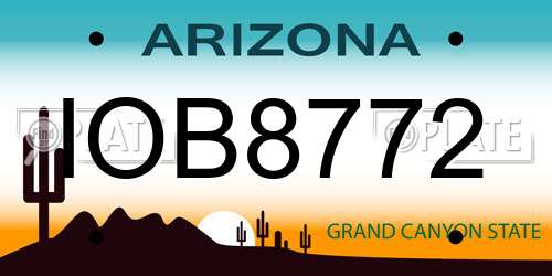 IOB8772 Arizona License Plate