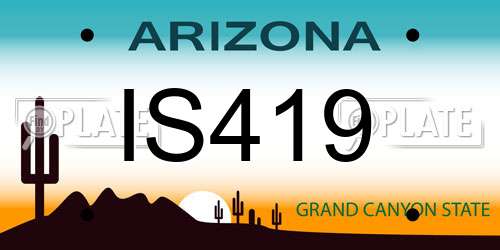 IS419 Arizona License Plate