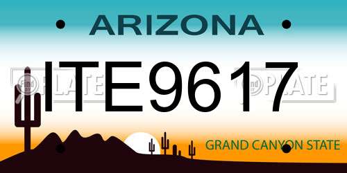 ITE9617 Arizona License Plate