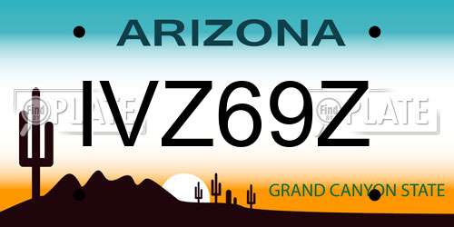 IVZ69Z Arizona License Plate