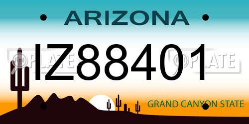 IZ88401 Arizona License Plate