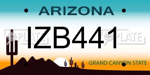 IZB441 Arizona License Plate