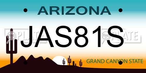 JAS81S Arizona License Plate