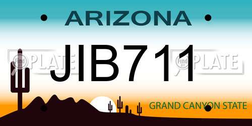 JIB711 Arizona License Plate