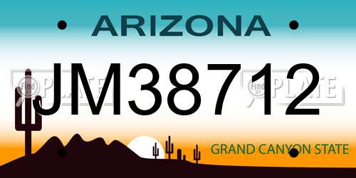 JM38712 Arizona License Plate