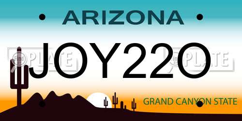 JOY22O Arizona License Plate
