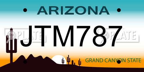 JTM787 Arizona License Plate