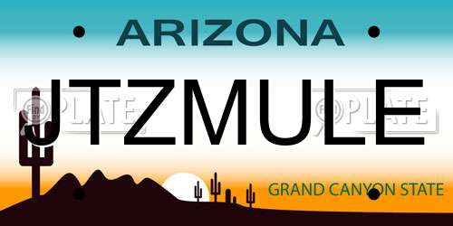 JTZMULE Arizona License Plate