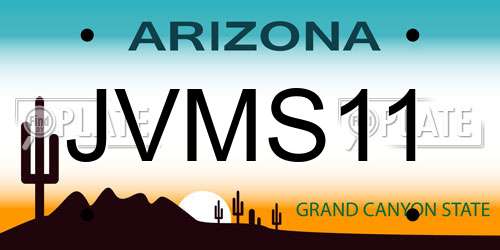 JVMS11 Arizona License Plate