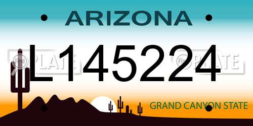 L145224 Arizona License Plate