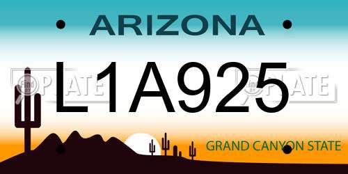 L1A925 Arizona License Plate