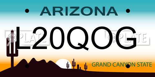 L20QOG Arizona License Plate