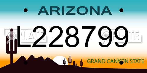 L228799 Arizona License Plate