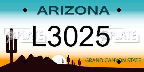 L3025 Arizona License Plate