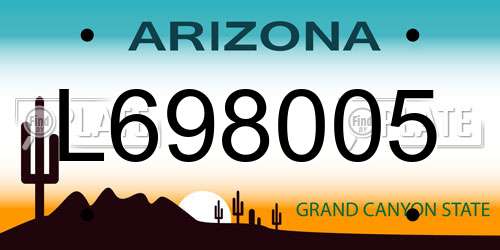 L698005 Arizona License Plate