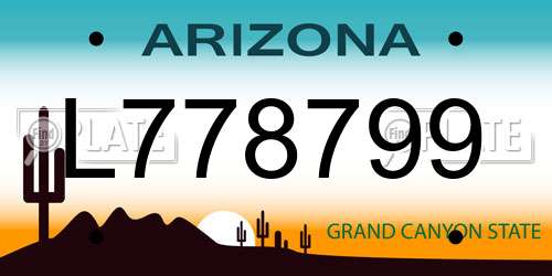 L778799 Arizona License Plate