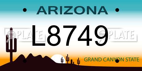L8749 Arizona License Plate