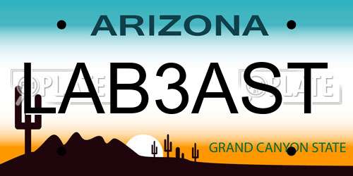 LAB3AST Arizona License Plate