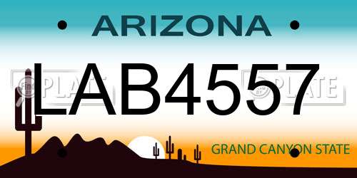 LAB4557 Arizona License Plate
