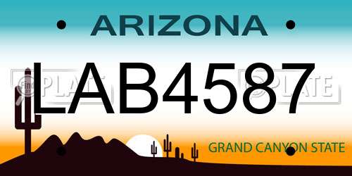 LAB4587 Arizona License Plate
