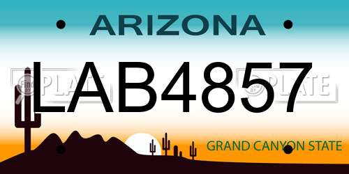 LAB4857 Arizona License Plate