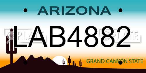 LAB4882 Arizona License Plate