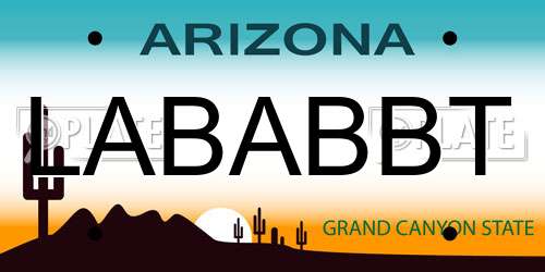 LABABBT Arizona License Plate