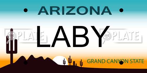 LABY Arizona License Plate