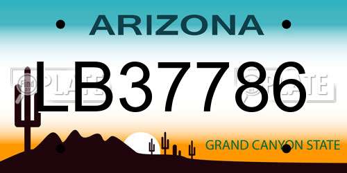 LB37786 Arizona License Plate