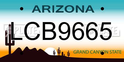 LCB9665 Arizona License Plate