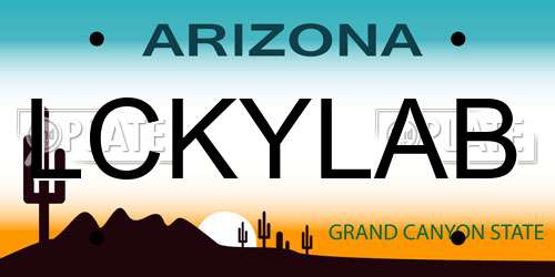 LCKYLAB Arizona License Plate