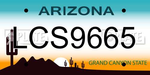 LCS9665 Arizona License Plate