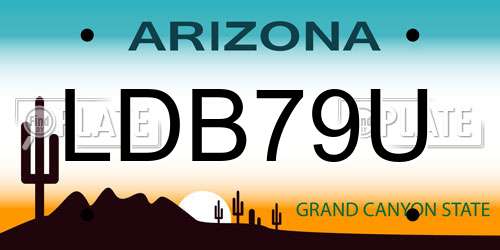 LDB79U Arizona License Plate
