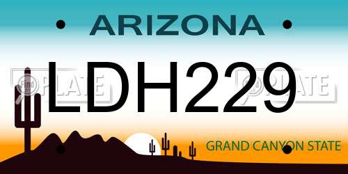 LDH229 Arizona License Plate