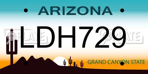 LDH729 Arizona License Plate