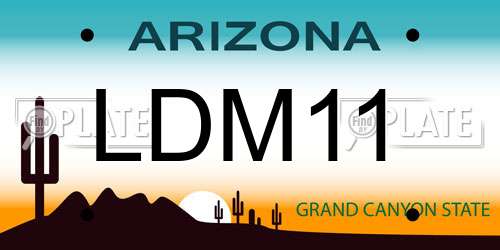 LDM11 Arizona License Plate