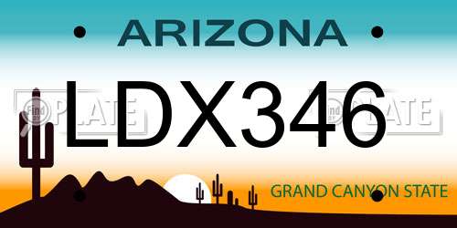LDX346 Arizona License Plate