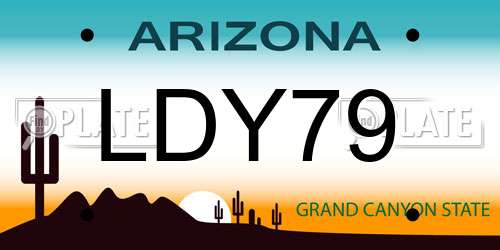 LDY79 Arizona License Plate