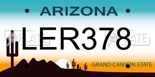 LER378 Arizona License Plate