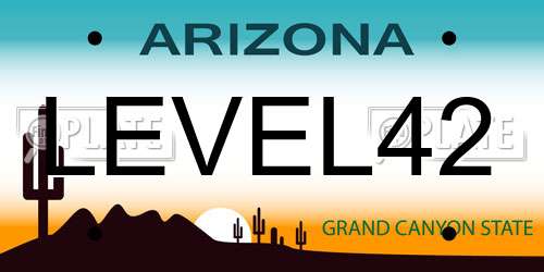LEVEL42 Arizona License Plate