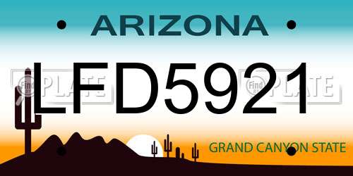 LFD5921 Arizona License Plate