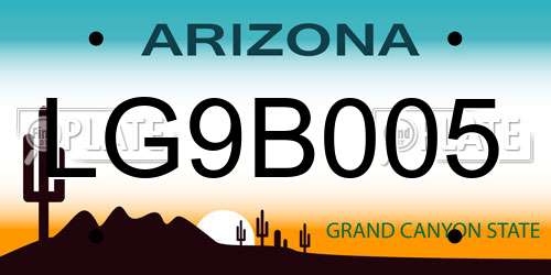 LG9B005 Arizona License Plate