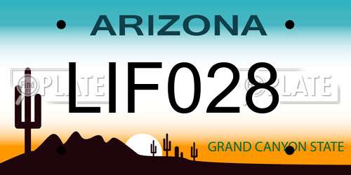 LIF028 Arizona License Plate