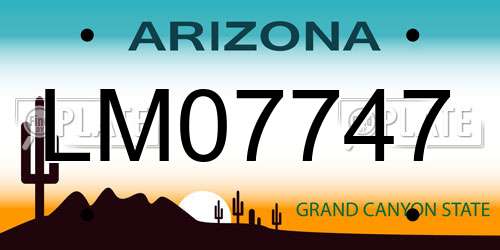 LM07747 Arizona License Plate