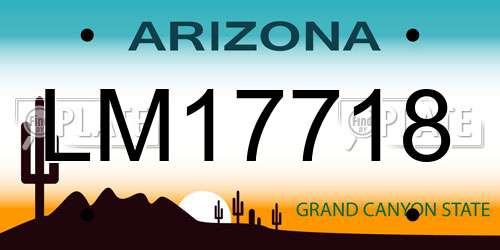 LM17718 Arizona License Plate