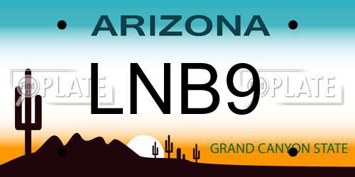LNB9 Arizona License Plate