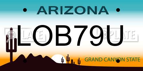 LOB79U Arizona License Plate