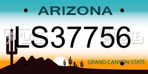 LS37756 Arizona License Plate